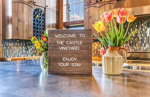 Cleveland Other | Stunning castle with working vineyard - the ultimate luxury VRBO property!