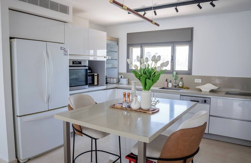 Tel Aviv Promenade Apartment | Stunning duplex penthouse with infinity rooftop pool, parking, ample space