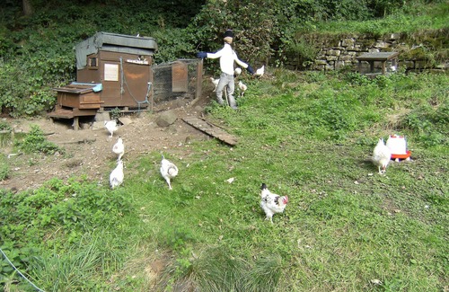 Little Hayfield Cottage | Stunning location with fantastic walking, mountain-biking, wildlife - and wifi.