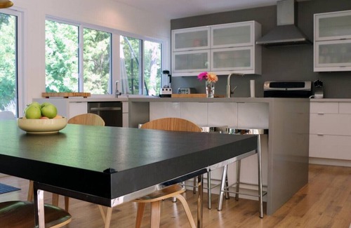 Tiny Cottage | Stunning Modern Beach/Ski House