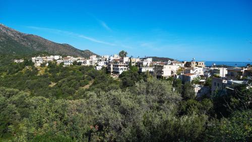 Sisai Apartment | Stunning Mountain View - Authentic Cretan Village