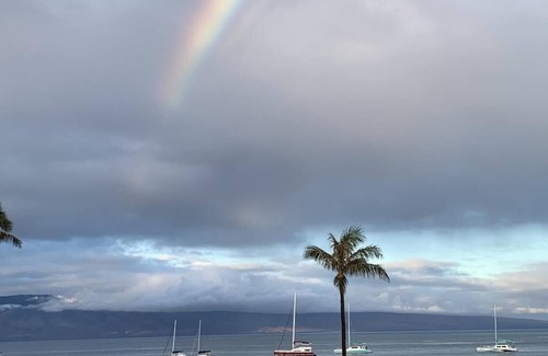 Kaanapali Condo | Stunning Ocean View Studio Unit #313 has 129 reviews, score of 10!