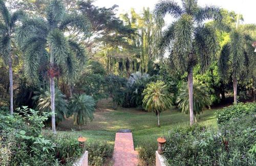 Boca Chica Villa | Stunning Oceanfront 4-Bdrm Villa w/Infinity Pool