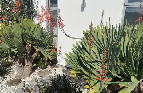 Wigram House | Stunning park side holiday home