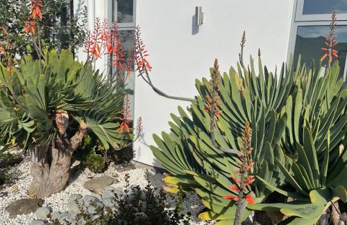 Wigram House | Stunning park side holiday home