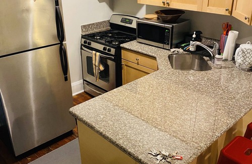 Upper Fells Point Apartment | Stunning Patterson Park Views and Walk to Bars and Cafes
