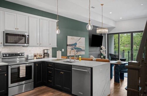 Lawrenceville Apartment | Stunning Penthouse Double King Suite |Rooftop Deck