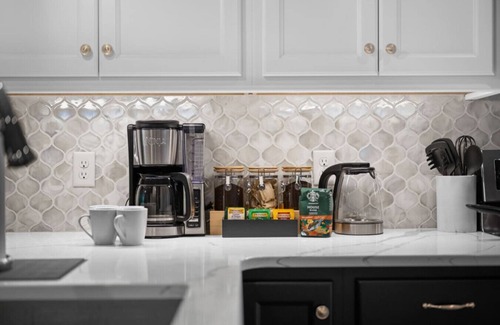 Lawrenceville Apartment | Stunning Penthouse Double King Suite |Rooftop Deck