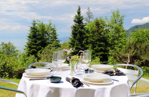Caux House | Stunning private villa with WIFI, TV, terrace, pets allowed, panoramic view and parking