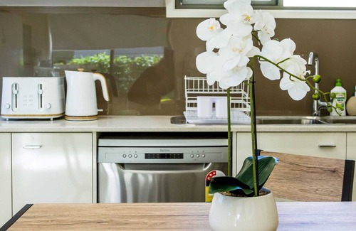 Beerwah House | Stunning Sunlight Swan