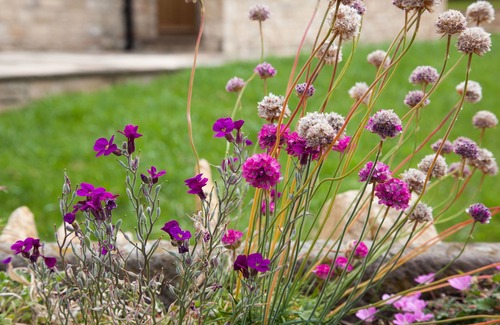 Dursley Cottage | Stunning views, great location, lovely outdoor space, 1 small dog welcome.