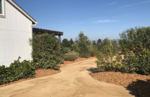 Sebastopol Cottage | Stunning Views on 10 acres w/ Vineyard, 7 min to Sebastopol