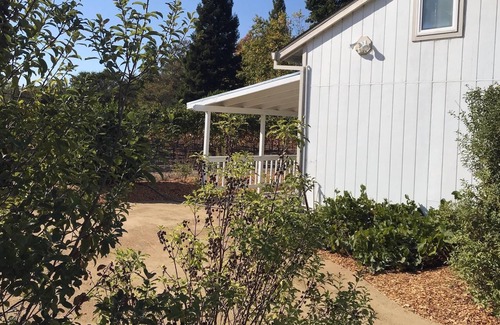 Sebastopol Cottage | Stunning Views on 10 acres w/ Vineyard, 7 min to Sebastopol