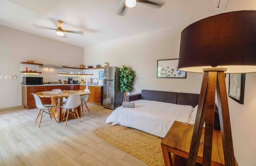 Colonia Andres Apartment | Stylish 1 Bedroom Apt Housekeeping Pool Free Bikes Scuba Discount