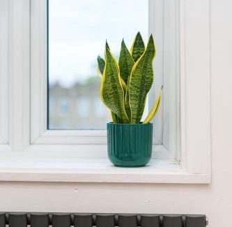 Livesey Apartment | Stylish and Spacious Peckham Flat