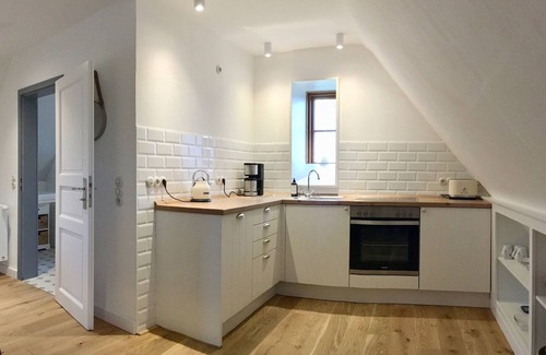 Oldenswort House | Stylish & cozy unter thatched roof with park-like garden (apartment)