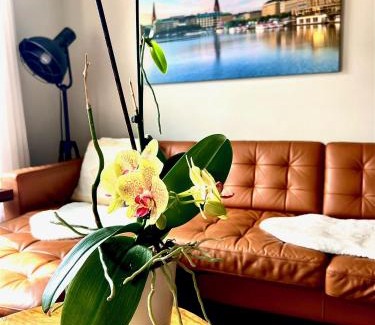 Perth Apartment | Stylish Heritage Gem facing Stewart Park and Town Hall