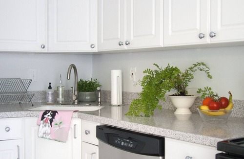 Historic Downtown Savannah House | Stylish House By Forsyth Park