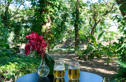 Sabaneta de Yasica Cabin | Stylish Jungle Cabin – Riverfront Retreat with Hammocks & Wi-Fi