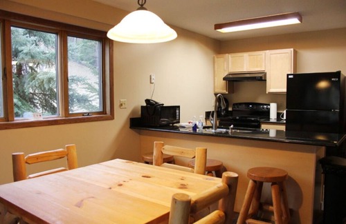 Iron Mountain Condo | Stylish Mountain Haus Condos | Nature Getaway
