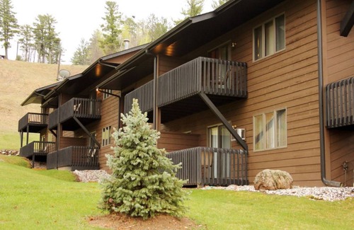 Iron Mountain Condo | Stylish Mountain Haus Condos | Nature Getaway