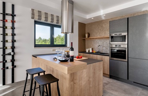 Svetvincenat Villa | Stylish New design Villa, 1.400 m2 garden with private pool ,Central Istria