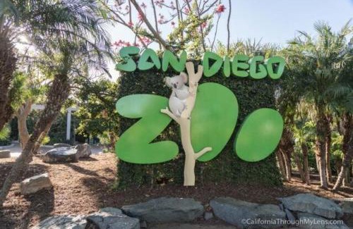 Hillcrest Apartment | Stylish Studio with Parking, Near the Zoo, Airport, Downtown, Balboa Park