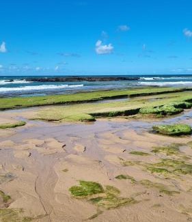 Arembepe Bed & Breakfast | Suíte Beija-flor