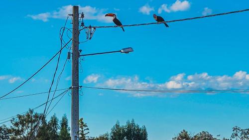 Alto Paraiso de Goias Cabin | Suítes Raízes Nômades 2