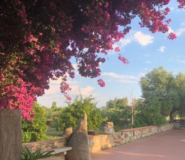 Girasole Apartment | Su Giardinu