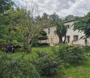 Tarascon House | Sublime Mas de Lou à 15 minutes d'Arles