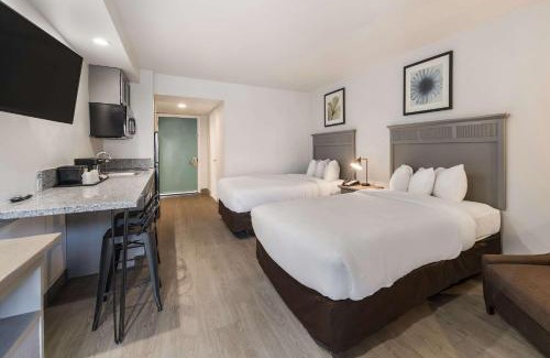 Williamsburg Hotel | Suburban Studios Williamsburg Central