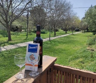 Qatsrin Cabin | SuCasa