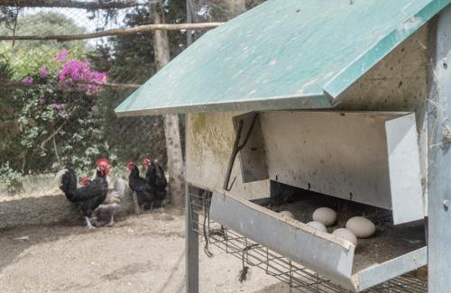 Brena y Marismas de Barbate Natural Park House | Sueña La Breña