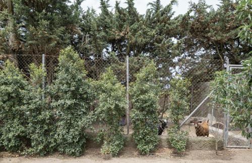 Brena y Marismas de Barbate Natural Park House | Sueña La Breña