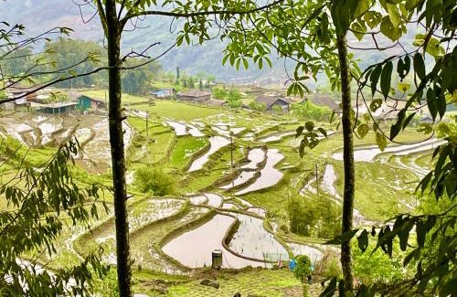 Hau Thao House | Sue Pa Family Trekking Homestay