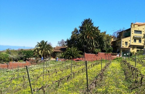 La Matanza de Acentejo Apartment | Suerteluna casa rural