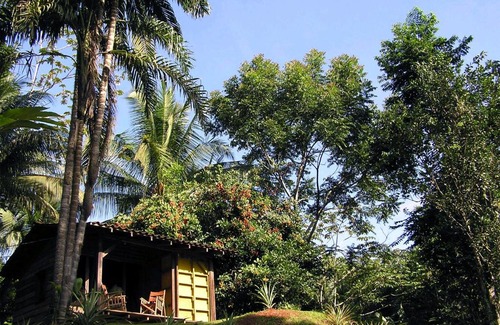 Rincon Cabin | Suital Lodge