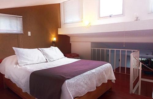 Campestre Apartment | Suite 3C, Jacaranda, Garden House, Wewlcome to San Angel