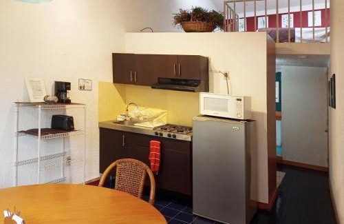 Campestre Apartment | Suite 3C, Jacaranda, Garden House, Wewlcome to San Angel
