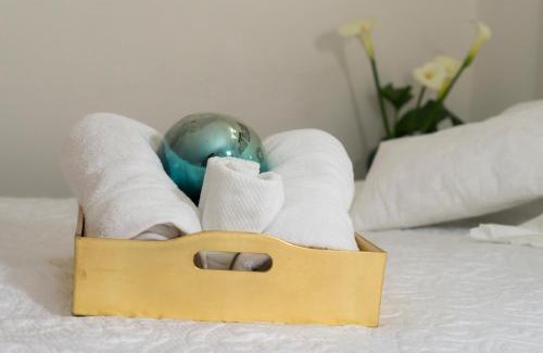 Campestre Apartment | Suite 4B Bazzar, Garden House, Welcome to San Angel