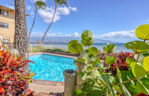 Maalaea Apartment | Suite Maui Paradise Condo