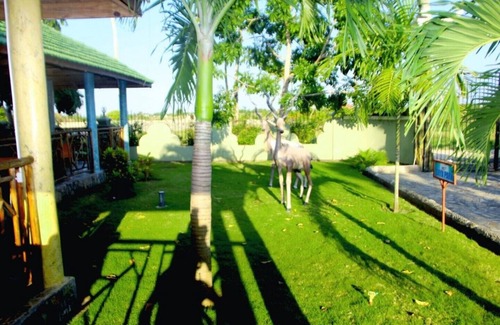 Kigamboni Apartment | Suite reflecting the essence of Swahili culture.