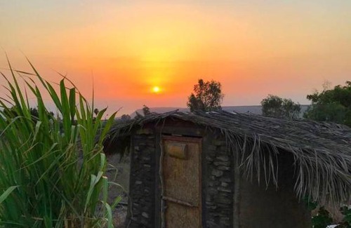 Qatsrin Other | suite truck- Natura Eco farm