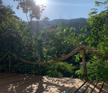 Ilha Grande House | Suites casa do indio jungle, a melhor vista da floresta