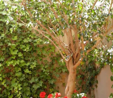 Sant Gervasi – la Bonanova Apartment | Suitur Courtyard Apartment