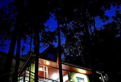 Kurseong Cabin | Sukhim Farmstay