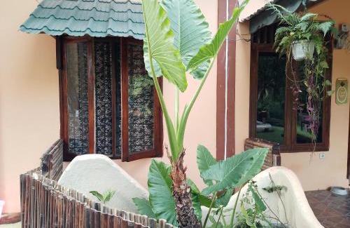Bohorok House | Sumatra Cheeky Monkeys