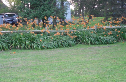 Pulaski Cottage | Summer family cabin on Lake Ontario, PulaskinNEWLY UPDATED!