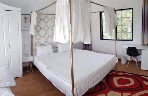 Capital Hill House | Summer Stay